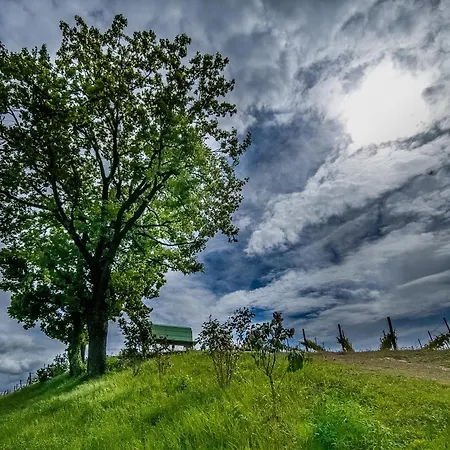 Feriehus Small House Monferrato